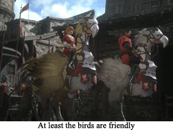 Chocobo time